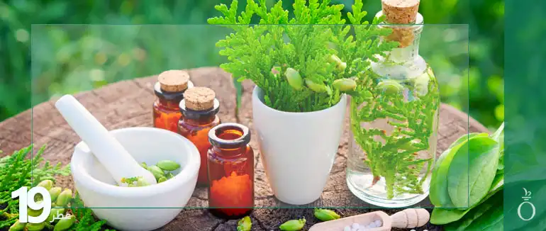 استفاده از گل لوندر برای ساخت گیاهان دارویی عطری