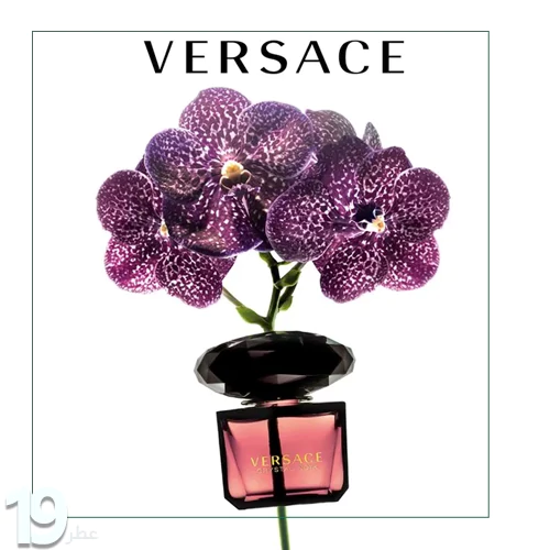 Versace Crystal Noir parfum